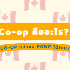 Co op คืออะไร ? … Co-op แล้วขอ PGWP ได้ไหม?