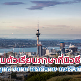 เตรียมตัวเรียนภาษาในนิวซีแลนด์ : ฤดูกาล สภาพอากาศ และการเดินทาง